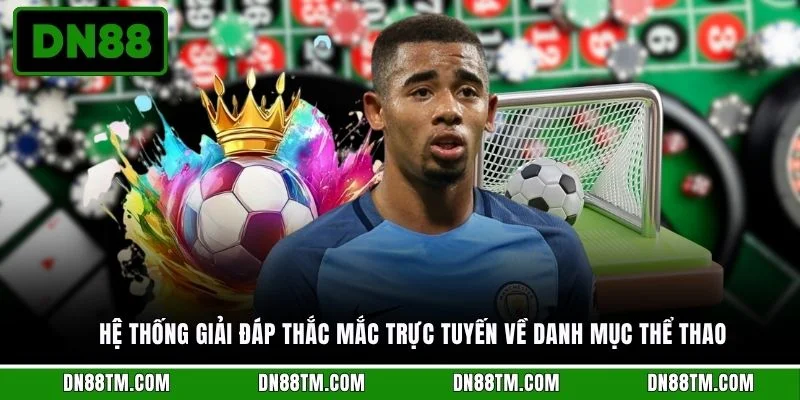 Hệ thống giải đáp thắc mắc trực tuyến về danh mục thể thao