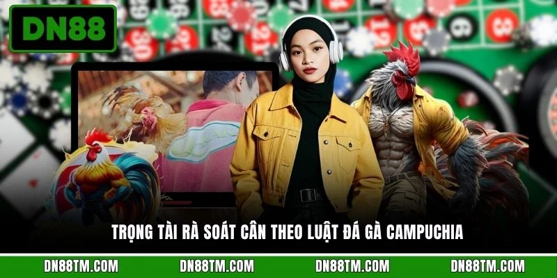Trọng tài rà soát cân theo luật đá gà Campuchia